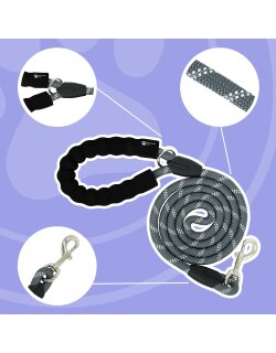 Reichstadt  Hundeleine Nylon 25RSP084