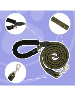 Reichstadt  Hundeleine Nylon 25RSP084