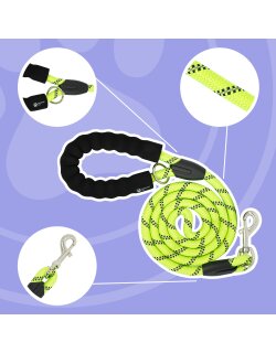 Reichstadt  Hundeleine Nylon 25RSP084