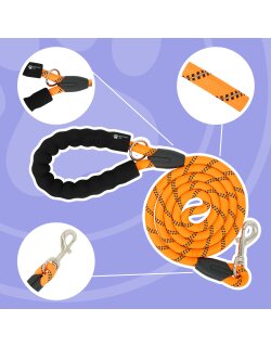 Reichstadt  Hundeleine Nylon 25RSP084