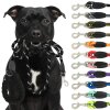Reichstadt   RS Pets Führleine Nylon 25RSP084