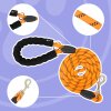 Reichstadt   RS Pets Führleine Nylon 25RSP084