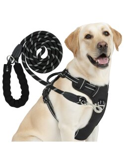 Reichstadt  RS Pets Hundegeschirr & Leinen Set 25RSP083-4