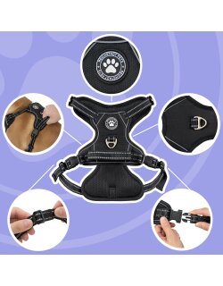Reichstadt  RS Pets Hundegeschirr & Leinen Set 25RSP083-4