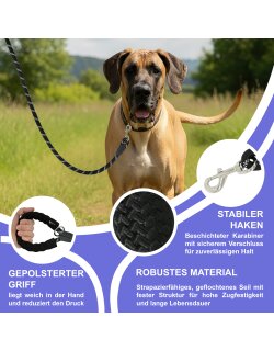 Reichstadt  RS Pets Hundegeschirr & Leinen Set 25RSP083-4