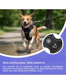 Reichstadt  RS Pets Hundegeschirr & Leinen Set 25RSP083-4