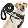 Reichstadt  RS Pets Hundegeschirr & Leinen Set 25RSP083-4