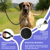 Reichstadt  RS Pets Hundegeschirr & Leinen Set 25RSP083-4