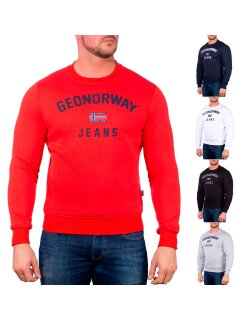 GEON Herren Pullover Gassier