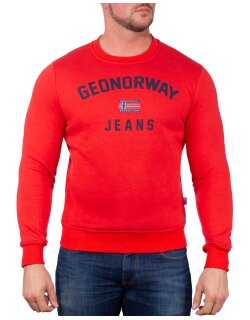 GEON Herren Pullover Gassier