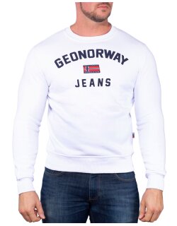 GEON Herren Pullover Gassier