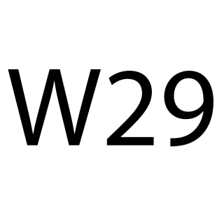 W29